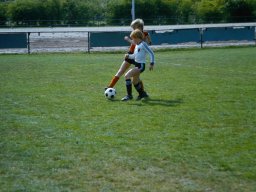 0DIA 1984 RAVA PUPS 1